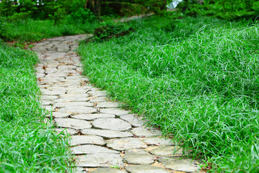 Similar image 6096525