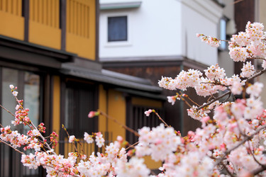 Similar image 6096541