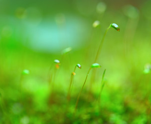 Similar image 6096627