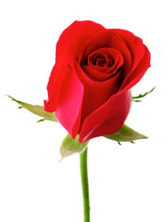 Similar image 6096693