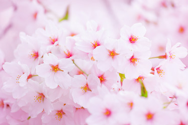 Similar image 6096779