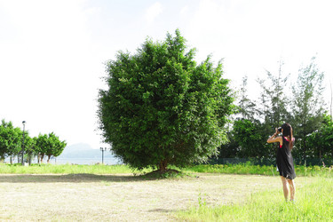 Similar image 6096805