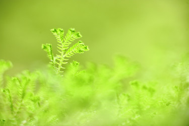 Similar image 6096925