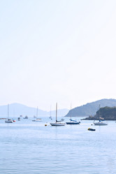 Similar image 6096948