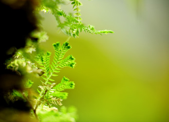 Similar image 6097002