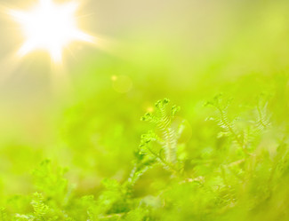 Similar image 6097013