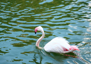 Similar image 6097047