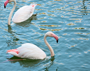 Similar image 6097049