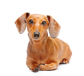 Similar image 6097054