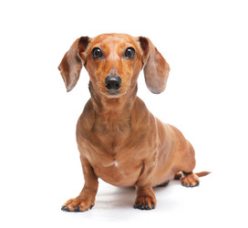 Similar image 6097055