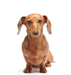 Similar image 6097060