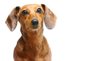 Similar image 6097062