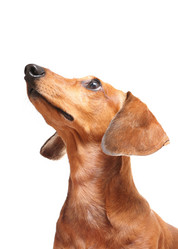 Similar image 6097067