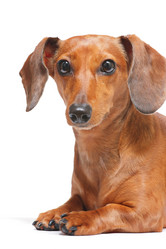 Similar image 6097073