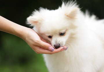 Similar image 6097075