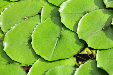 Similar image 6097098