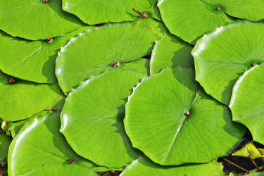 Similar image 6097099