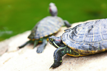 Similar image 6097319