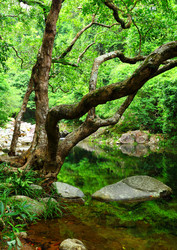 Similar image 6097354