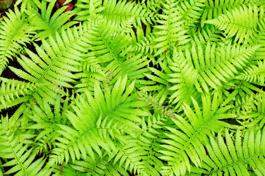 Similar image 6097370