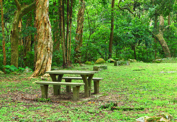 Similar image 6097374