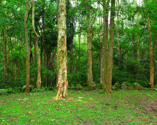 Similar image 6097376