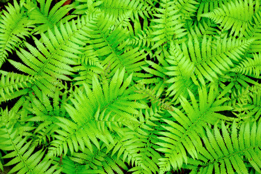 Similar image 6097378