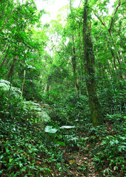 Similar image 6097404