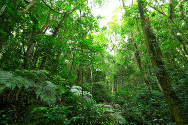 Similar image 6097424