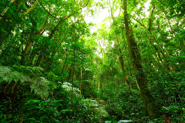 Similar image 6097432