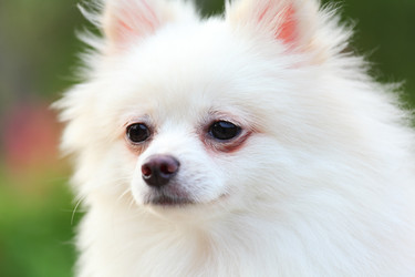 Similar image 6097453