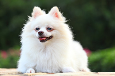 Similar image 6097458