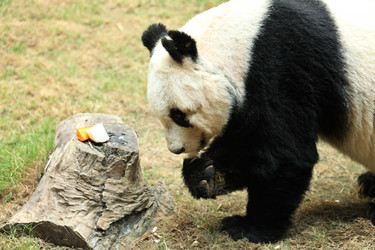 Similar image 6097516