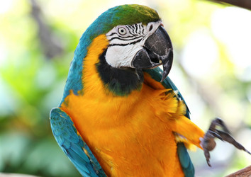 Similar image 6097522