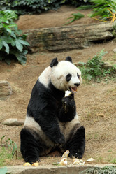 Similar image 6097542