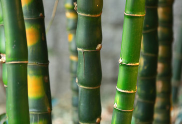 Similar image 6097576