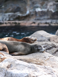 Similar image 6097587