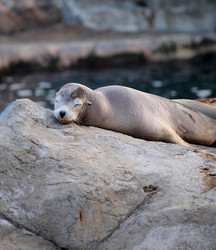 Similar image 6097589