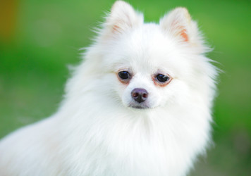 Similar image 6097724