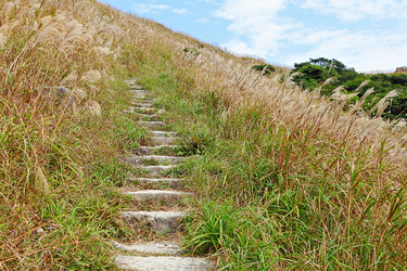 Similar image 6097759