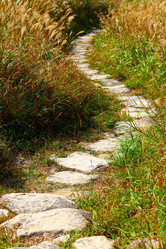 Similar image 6097767