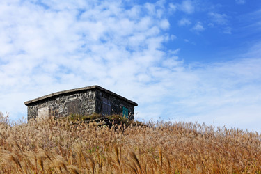 Similar image 6097786