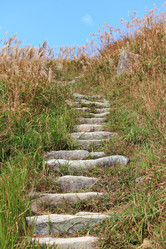 Similar image 6097806