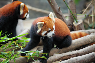 Similar image 6097852