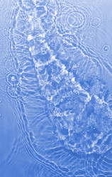 Similar image 6097888