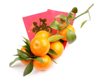 Similar image 6097949