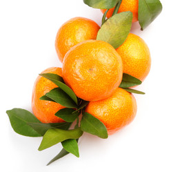 Similar image 6097962