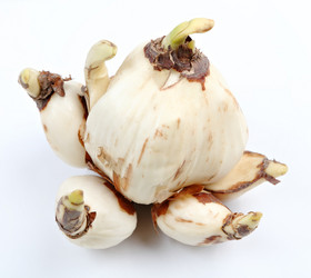 Similar image 6097976