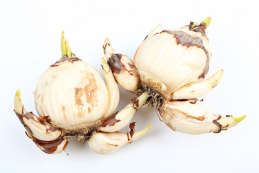 Similar image 6097981