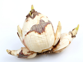 Similar image 6097982